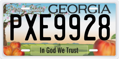 GA license plate PXE9928