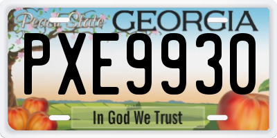 GA license plate PXE9930