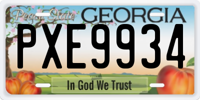 GA license plate PXE9934