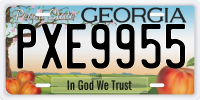 GA license plate PXE9955