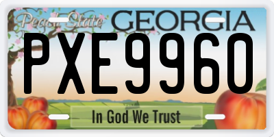 GA license plate PXE9960