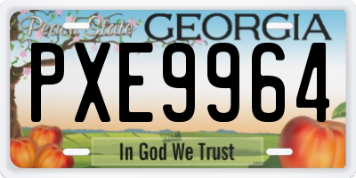 GA license plate PXE9964