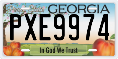 GA license plate PXE9974