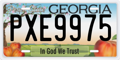 GA license plate PXE9975