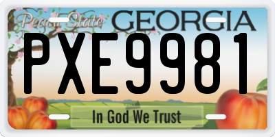 GA license plate PXE9981