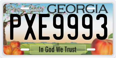 GA license plate PXE9993
