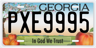 GA license plate PXE9995