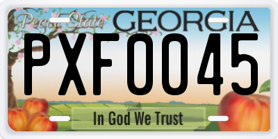 GA license plate PXF0045