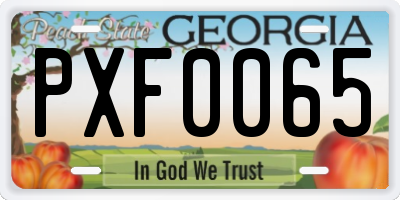 GA license plate PXF0065