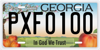 GA license plate PXF0100