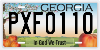GA license plate PXF0110