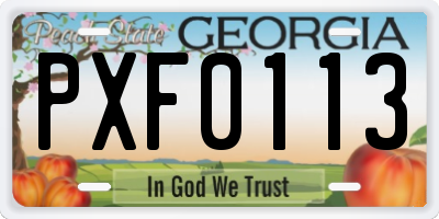 GA license plate PXF0113