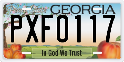GA license plate PXF0117