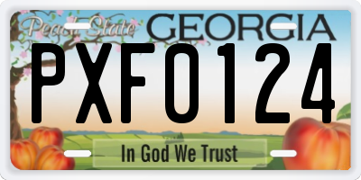 GA license plate PXF0124