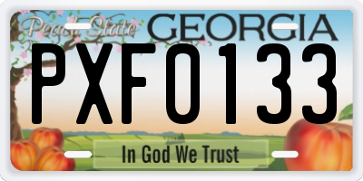 GA license plate PXF0133
