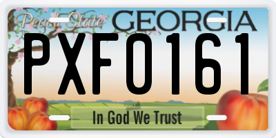 GA license plate PXF0161
