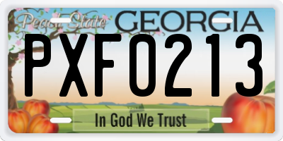 GA license plate PXF0213