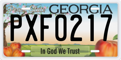 GA license plate PXF0217