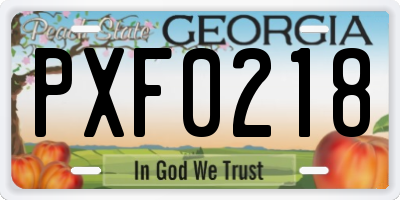 GA license plate PXF0218