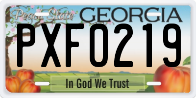 GA license plate PXF0219