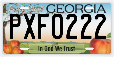 GA license plate PXF0222