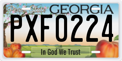 GA license plate PXF0224