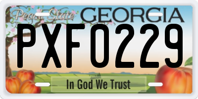GA license plate PXF0229