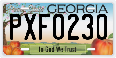 GA license plate PXF0230