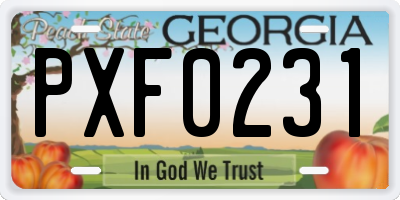 GA license plate PXF0231