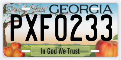 GA license plate PXF0233