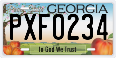GA license plate PXF0234