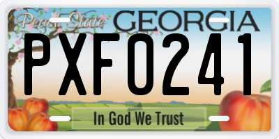 GA license plate PXF0241