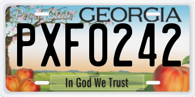 GA license plate PXF0242