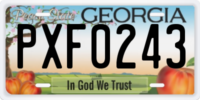 GA license plate PXF0243