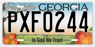 GA license plate PXF0244
