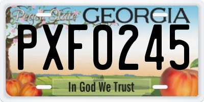 GA license plate PXF0245