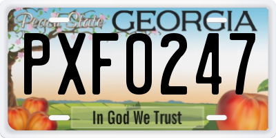 GA license plate PXF0247