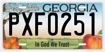 GA license plate PXF0251