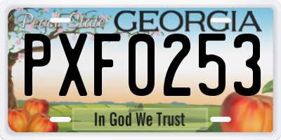 GA license plate PXF0253