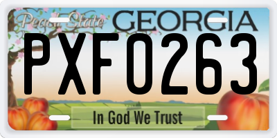 GA license plate PXF0263