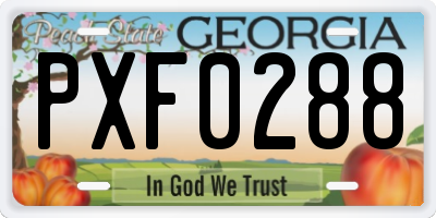 GA license plate PXF0288