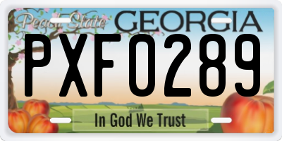 GA license plate PXF0289