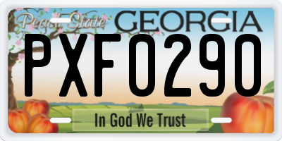 GA license plate PXF0290