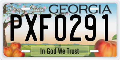 GA license plate PXF0291