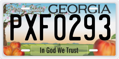 GA license plate PXF0293