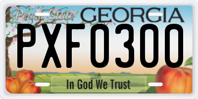 GA license plate PXF0300