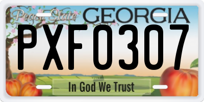 GA license plate PXF0307