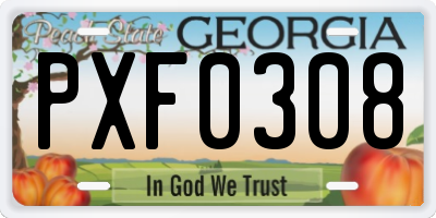 GA license plate PXF0308