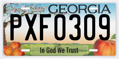 GA license plate PXF0309