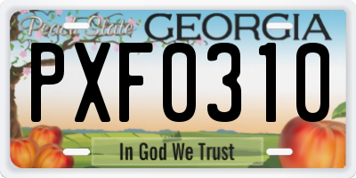 GA license plate PXF0310